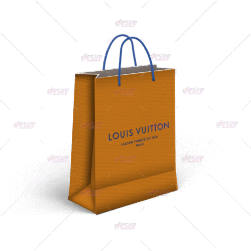 Louis Vuitton Paper Bag